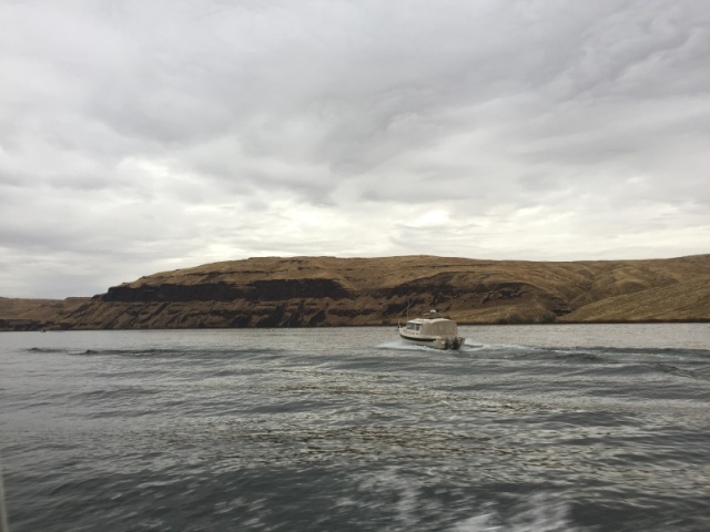 Cat Claw on the Snake River