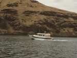 Cat Claw on the Snake River