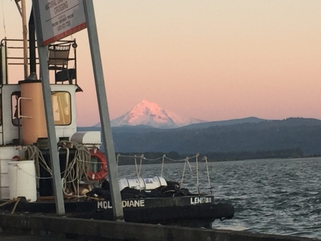 Mt. Hood this morning, as seen from Camas