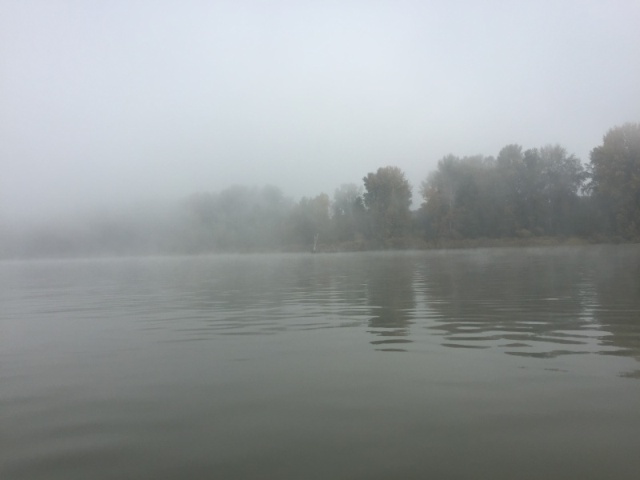 Foggy beach