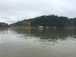 Homes along the shore