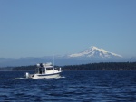 10,781 foot Mt. Baker, east of Bellingham WA