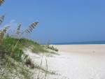 A Shackleford Banks beach