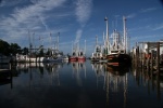 Our harbor in the day