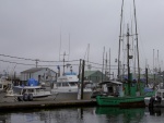 at the Petersburg dock.  The green fishing boat Osprey we last saw in Port Alexander in 2010.  It was built in 1918 & is 94 years & still looking good