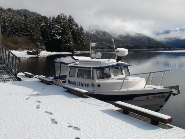 snow on the HunkyDory & Lisianski Strait dock