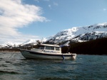 anchored at the head of Lisianski Inlet