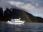 Highlight for Album: Southeast Alaska 2012