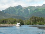 leaving Mirror Harbor through the kelp