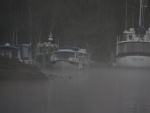 The medical boat in the morning fog. This is the C-Otter. Poor Tom was sick for the gathering.