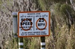 talk about confusing speed signs!  