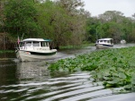 Highlight for Album: St. John's River 2014