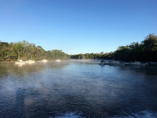 Morning at DeLeon Springs.