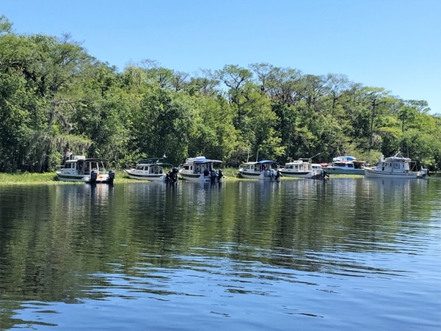 Weed Anchoring for lunch on the Hontoon Dead River.