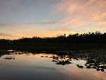 Butchers Bend Sunset