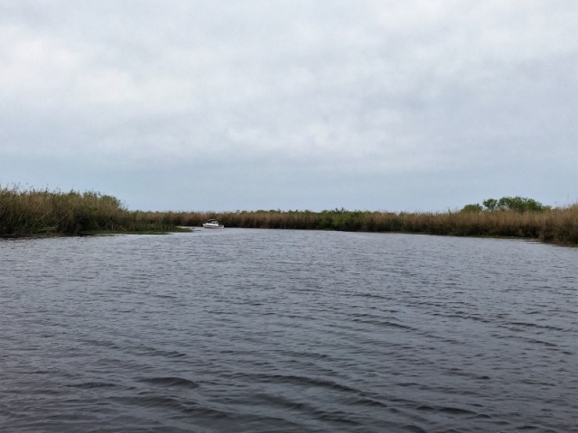 Anchored in Woodruff Creek