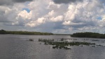 Looking upstream towards Sawgrass Lake.