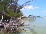 Picnic Island, florida 