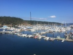 Friday Harbor