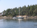 My brother's sailboat; a Tarton 30 from New Zealand. 