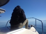 Wife watching some whales off of Quadra Island