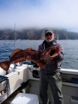 Lingcod 2020