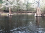 One of many small springs tucked off the river.