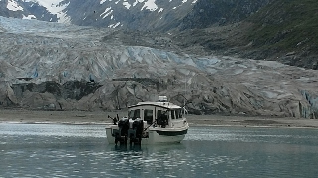 Reid Glacier 