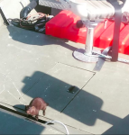 This guy was checking out empty boats in Hoonah