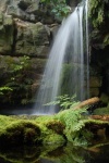 Aq. Waterfall