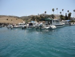 Catalina cruise, C Dory Tom Cat, 22, Cape Cruiser 26, C Dory 25 and 16