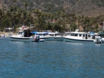 Catalina Cruise