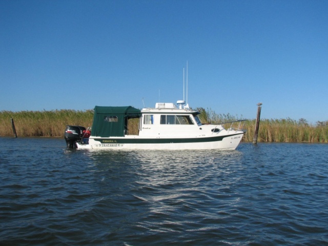 Tom Cat Scipio Creek Apalachicola