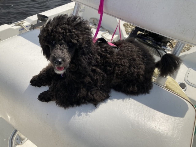 Gigi\'s first boat ride