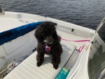 Gi first boat ride