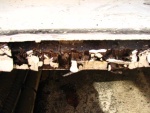 edge with dry rot