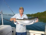 Not a tyee but still beautiful Nootka Sound Salmon