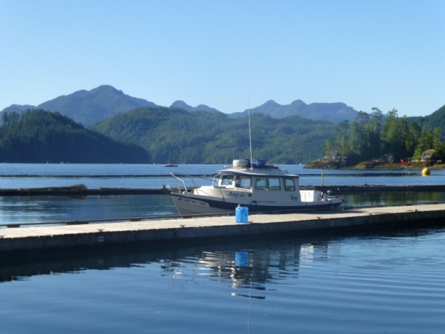 Critter Cove Marina in Nootka Sound