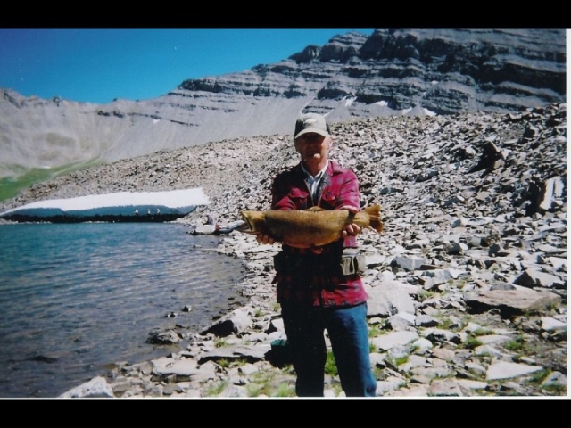 Montana cutthroat