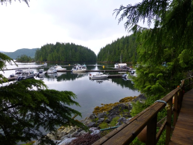 Nootka Sound 2012 veiw from our cottage at Critter Cove Marina
