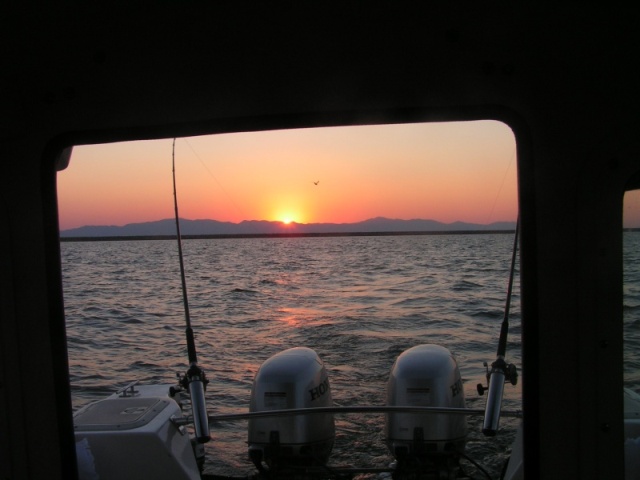 Sunset @ Willard Bay Utah... also caught the state bird heading home to bed...