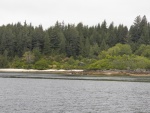 Abandoned cabin #2.  This is near Old Bella Bella and the white area on the beach is likely an ancient midden.