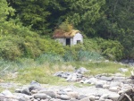 Abandoned cabin #3.