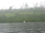 Helicopter Logging, Cousins Inlet