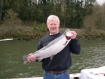 My first Big C springer.  Caught 12 pounder below Kalama on a wrapped kwikfish on March 13, 2004.   
