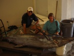 My biggest fish yet! Blue Marlin-357 pounds, 11 feet!  It fought for 45 mintues.  Kona, Hawaii / April, 2007