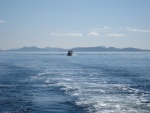 Gorgeous Gulf Island day.  Two Bears following Kerri On.  Hull speed cruise to Wallace Island