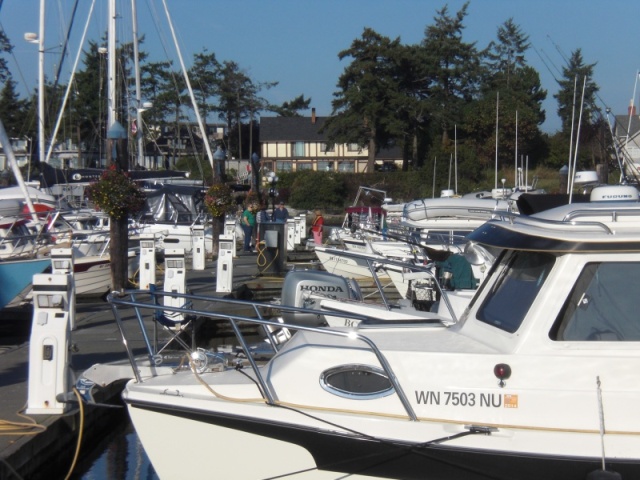 Looking along H-Dock, Sidney marina.