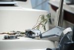 Greenery on the bow to ensure safe returns
