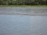 Mud river in GA. Holding my breath. I am in the center of the channel.